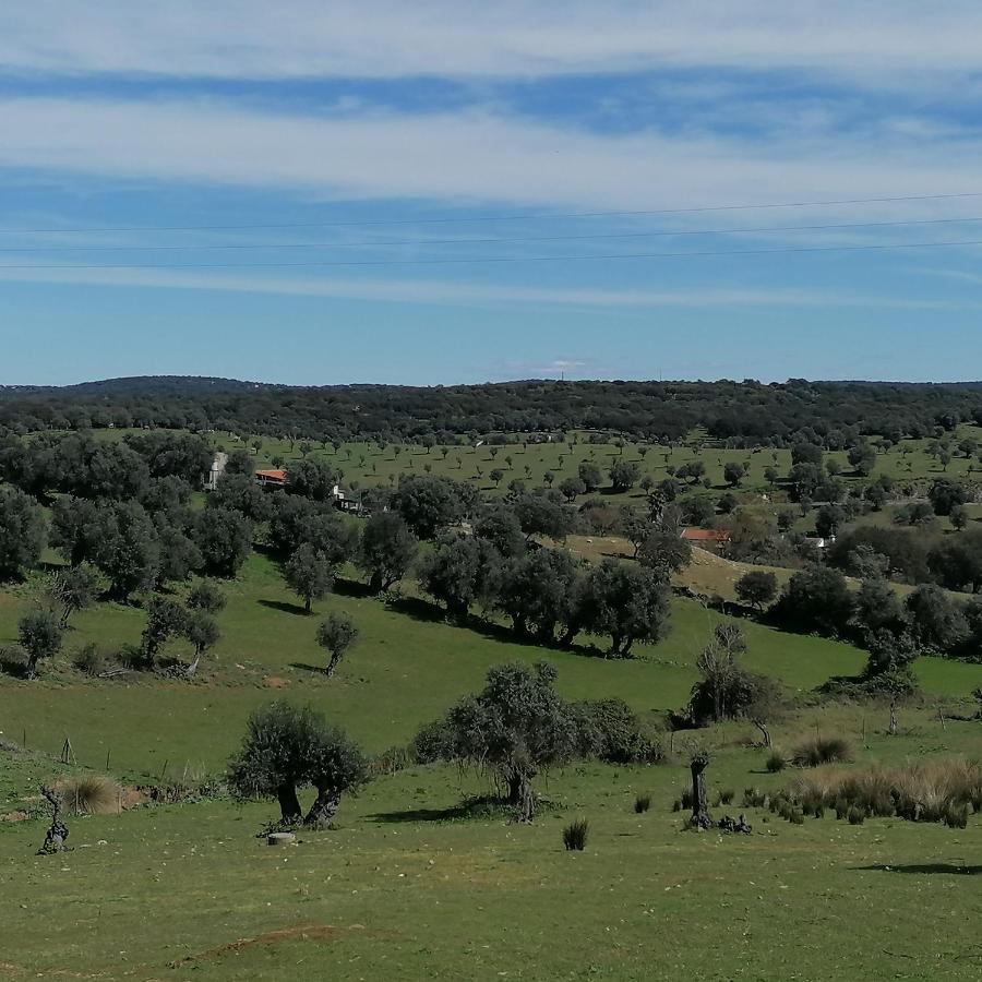 Casa Do Cabeco - Termas Da Sulfurea Villa Cabeço de Vide Екстериор снимка