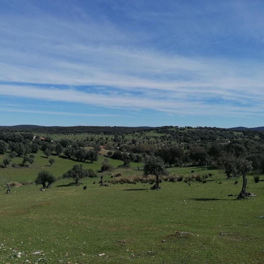 Casa Do Cabeco - Termas Da Sulfurea Villa Cabeço de Vide Екстериор снимка
