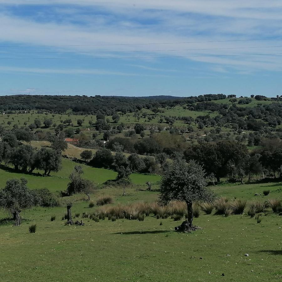 Casa Do Cabeco - Termas Da Sulfurea Villa Cabeço de Vide Екстериор снимка